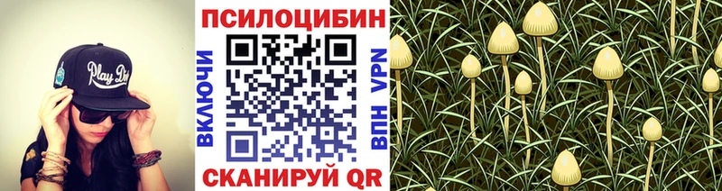 сколько стоит  Кореновск  Псилоцибиновые грибы ЛСД 